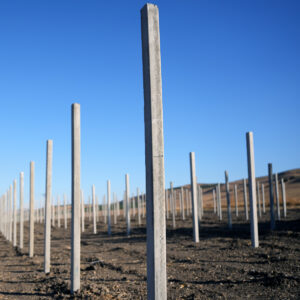 Harvest Pillar Concrete Post